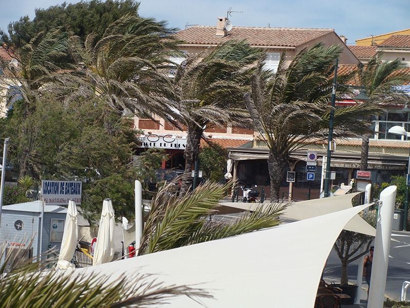 voile pour restaurant